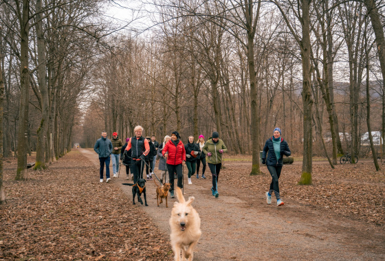 Nordic Walking / Slow Jogging 11