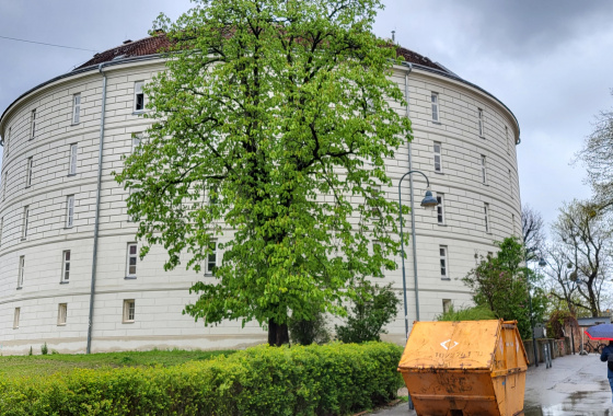 LET´S EXPLORE THE AREA AROUND VOTIV CHURCH AND THE OLD GENERAL HOSPITAL 8