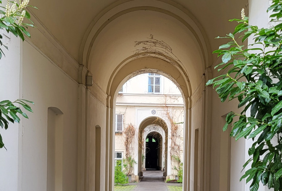 LET´S EXPLORE THE AREA AROUND VOTIV CHURCH AND THE OLD GENERAL HOSPITAL 25
