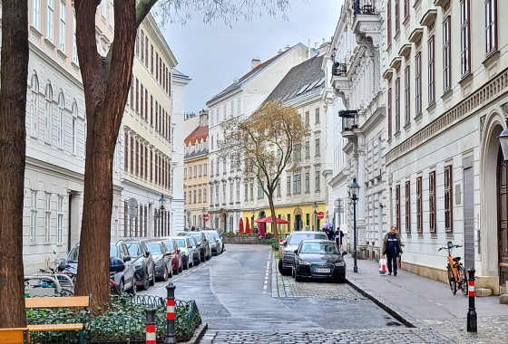 LET´S EXPLORE THE AREA AROUND VOTIV CHURCH AND THE OLD GENERAL HOSPITAL 18