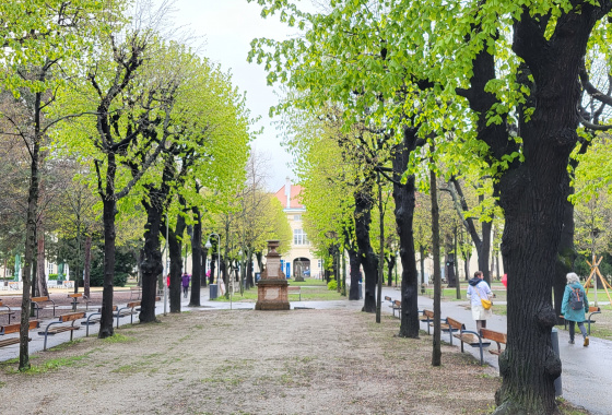 LET´S EXPLORE THE AREA AROUND VOTIV CHURCH AND THE OLD GENERAL HOSPITAL 12