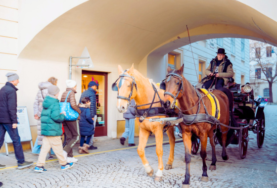 Neighbourhood Walking Tour: 1st District, Innere Stadt 18