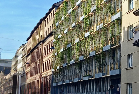 Neighbourhood Walking Tour: 6th District, Mariahilf 14
