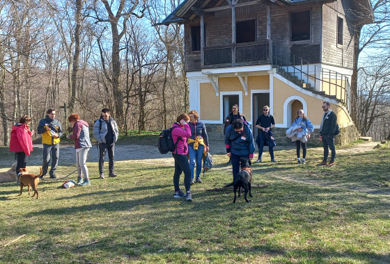 Let´s explore the Vienna forest 6