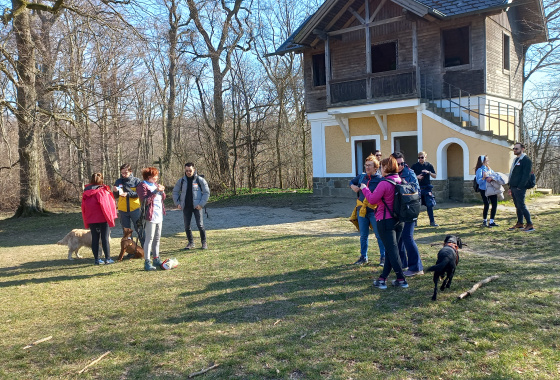 Let´s explore the Vienna forest 8