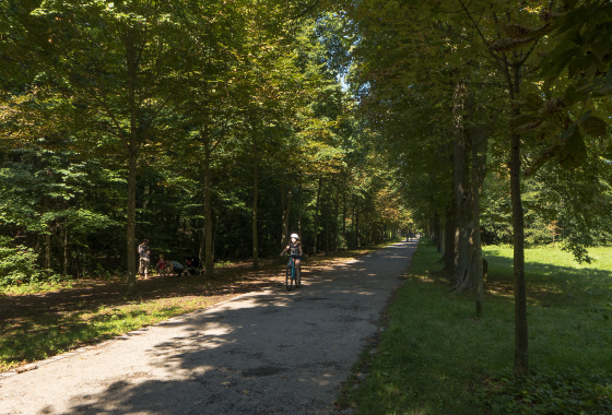 Let´s explore the Vienna forest